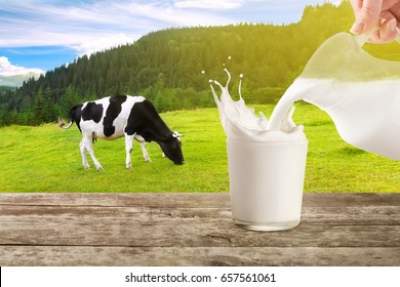 दूध को कब व कैसे पीना चाहिए : जानिए महत्वपूर्ण तथ्य !